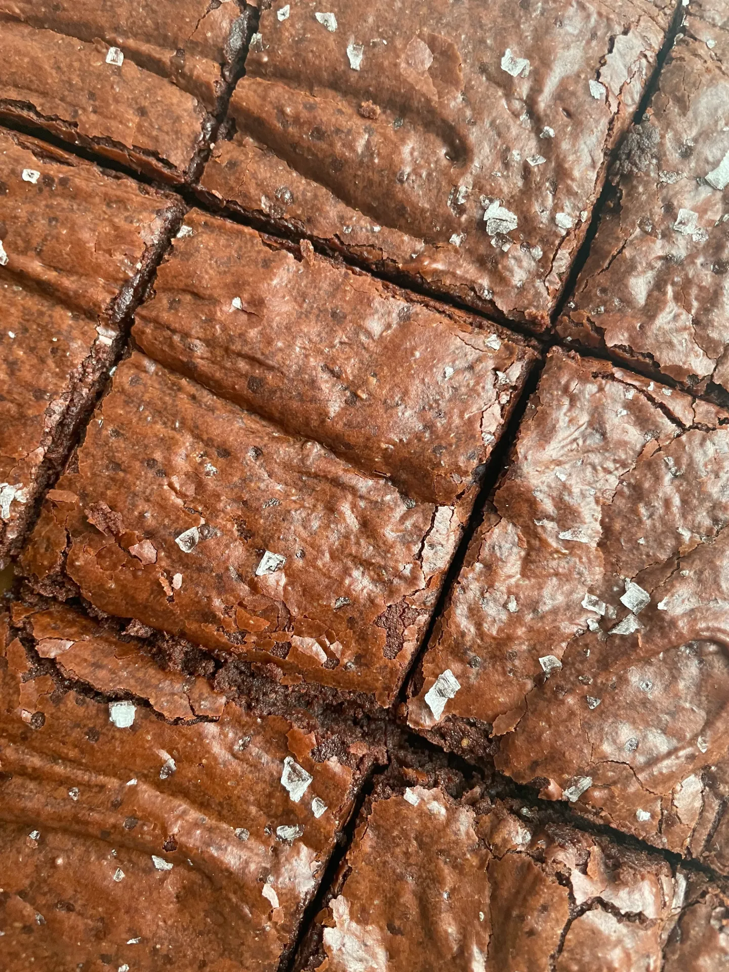 [PAS-009] Dark Chocolate Sourdough Brownies (3pcs.)